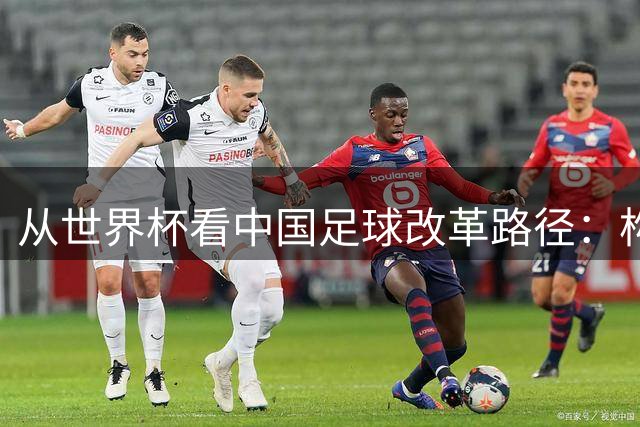 从世界杯看中国足球改革路径：构建完整生态体系成关键突破口