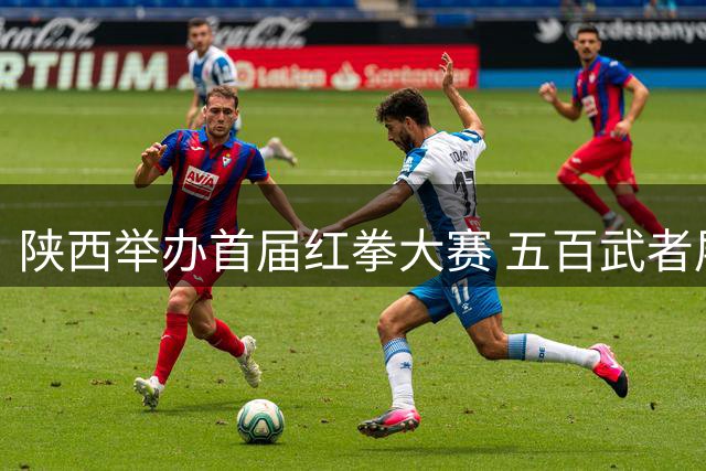 陕西举办首届红拳大赛 五百武者展非遗武术风采
