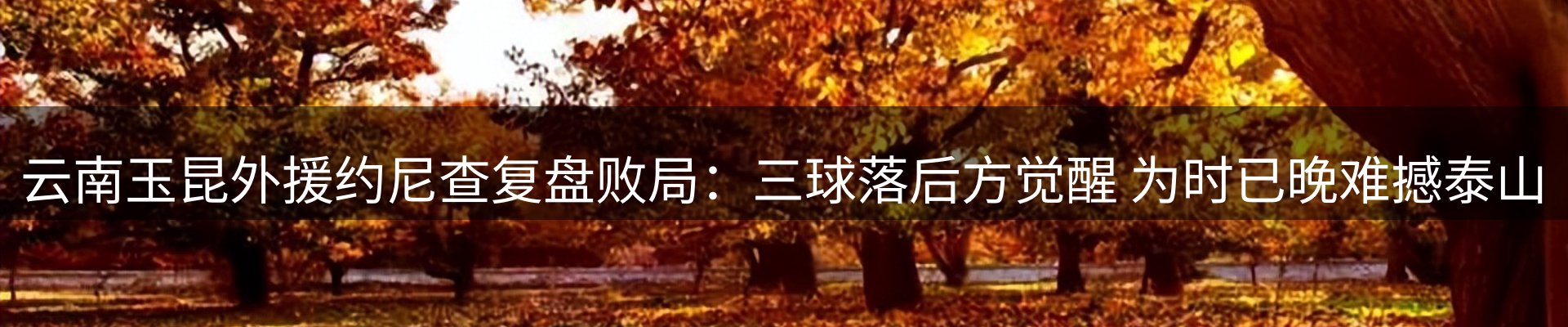 市场资讯