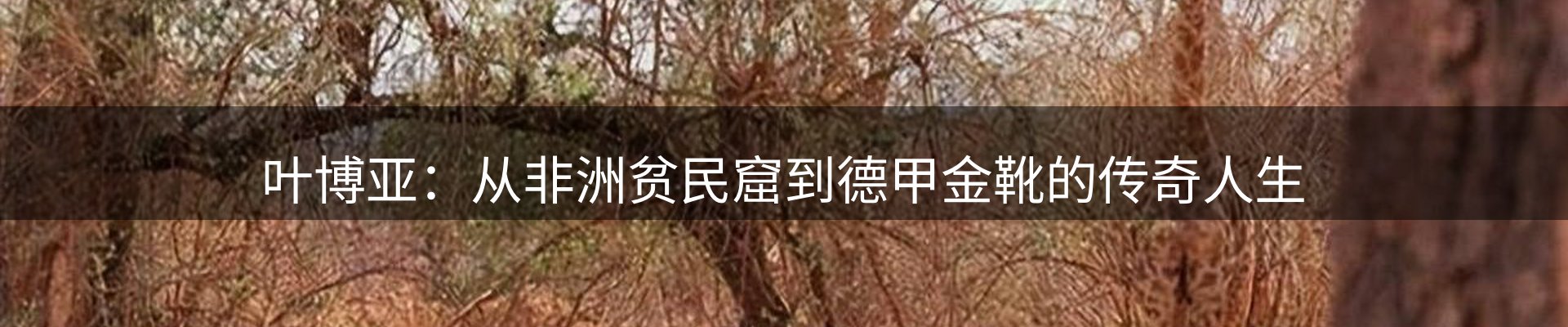 市场资讯