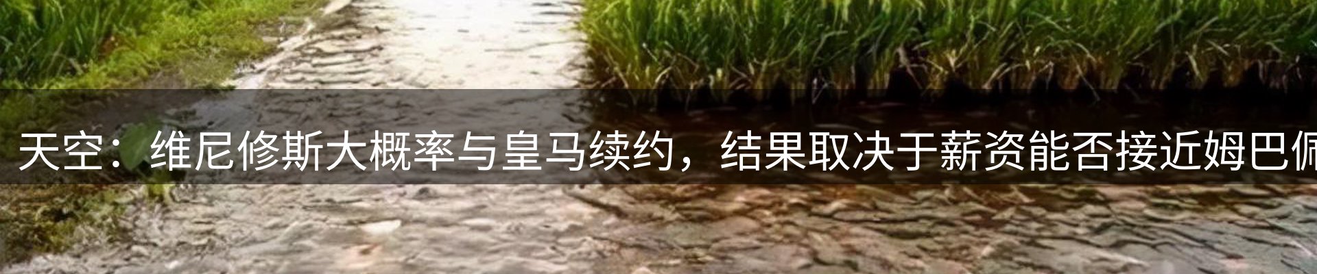 市场资讯