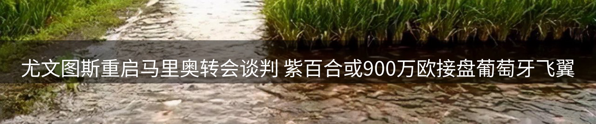市场资讯