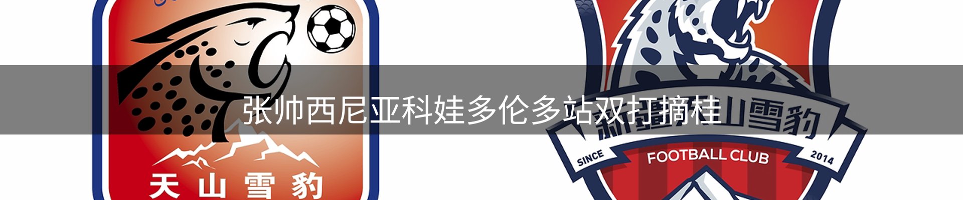 市场资讯