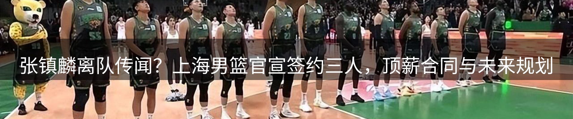 市场资讯