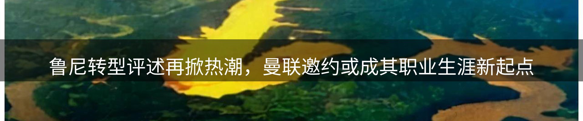 市场资讯