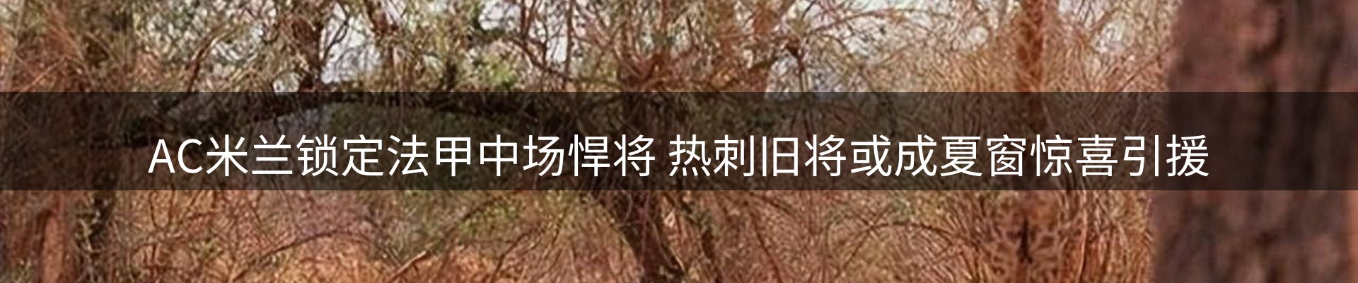 市场资讯